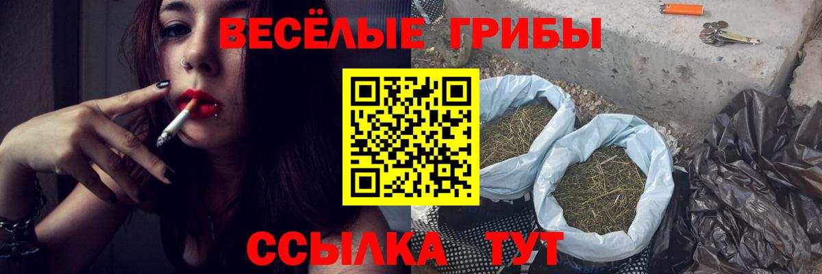 Псилоцибиновые грибы мухоморы  Вход с VPN  Серпухов 