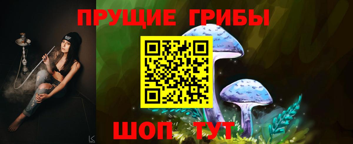 Галлюциногенные грибы Psilocybine cubensis Серпухов